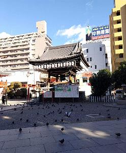 NAGOYA - Temple et Quartier Osu Kannon - 16.01.2024 - 08